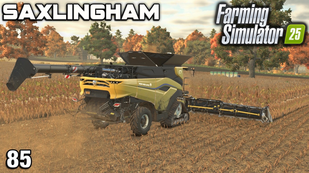 I MAY HAVE MISCALCULATED HOW MUCH CORN I NEEDED Saxlingham FS25 Ep 85