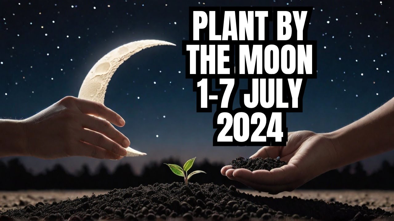 Moon Gardening Schedule 1-7th July 2024