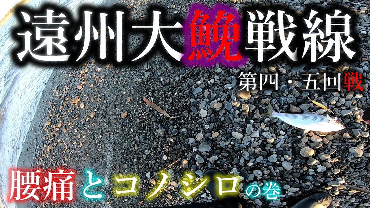 【遠州灘サーフ オオニベ #4・5】激熱コノシロ接岸！このチャンスを掴めるか!?