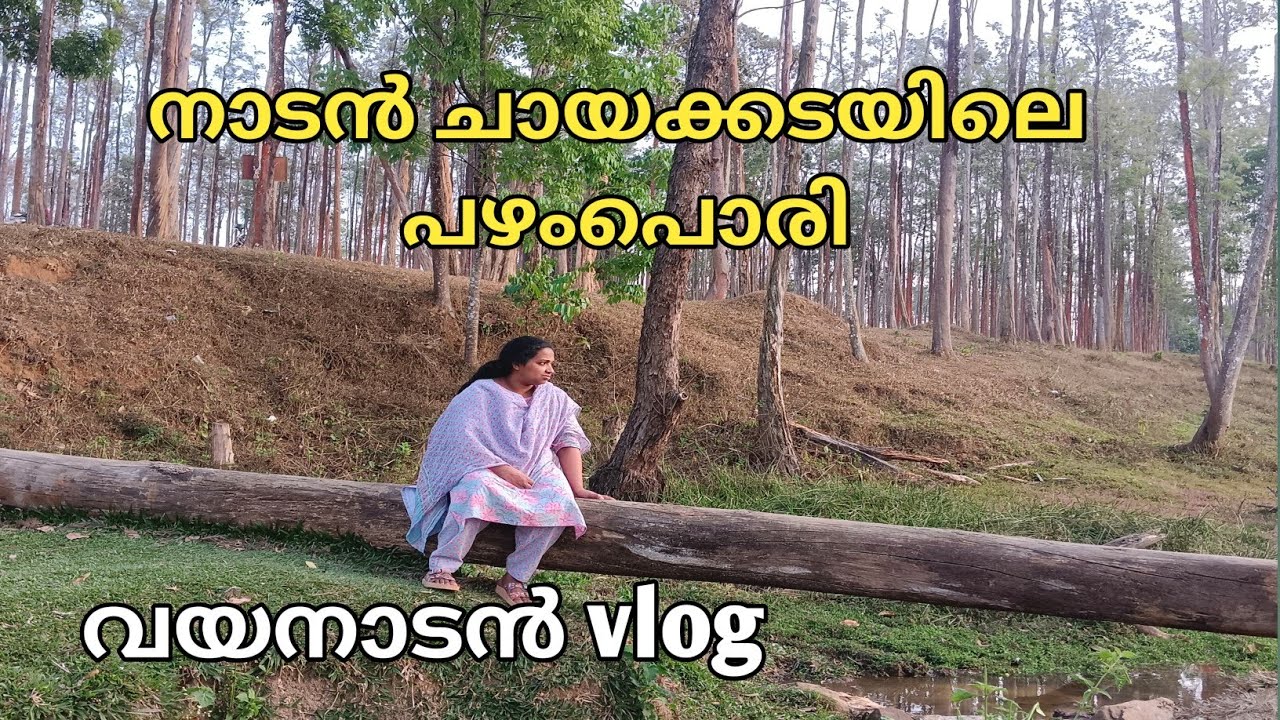 നാട്ടിൻപുറത്തെ വൈകുന്നേരം | evening vlog