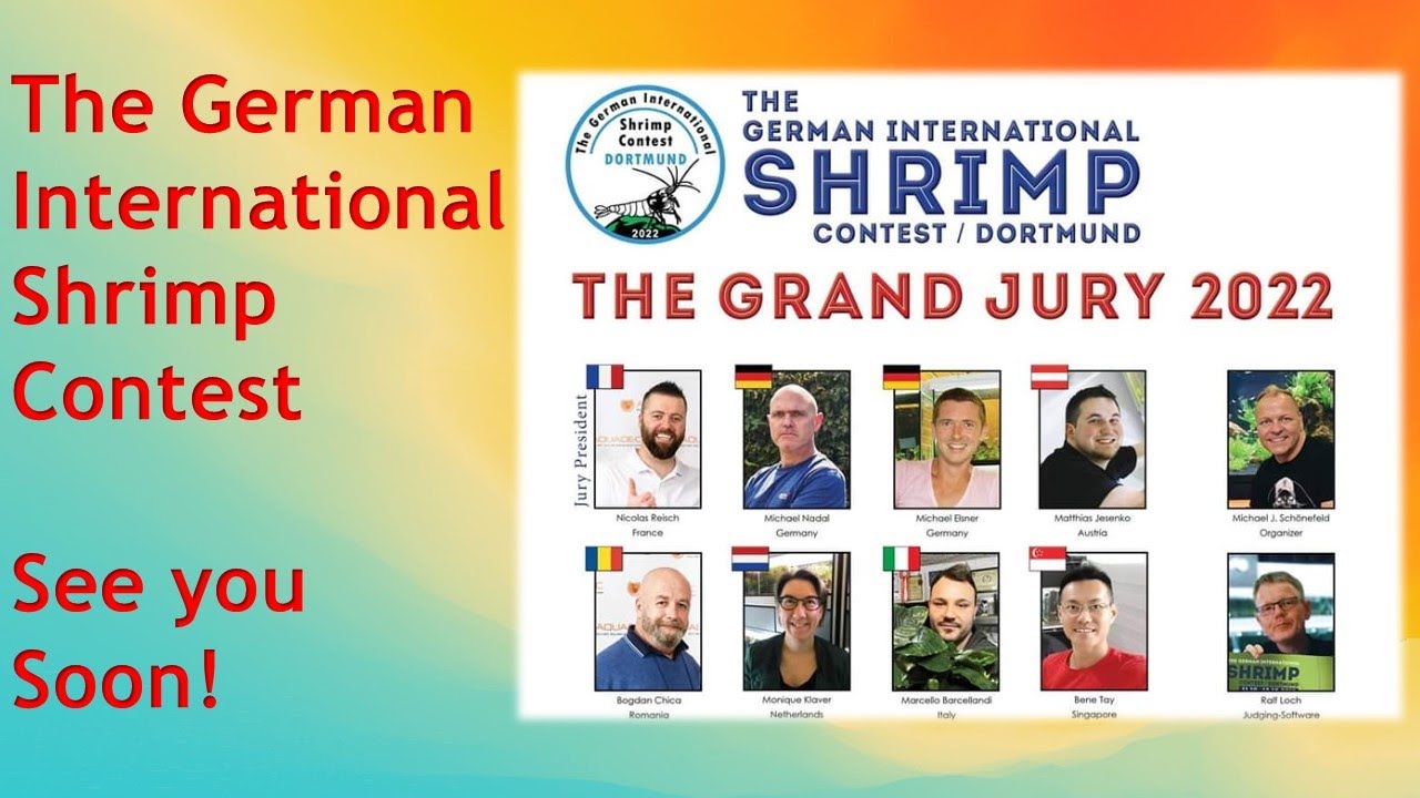 International German Shrimp Contest