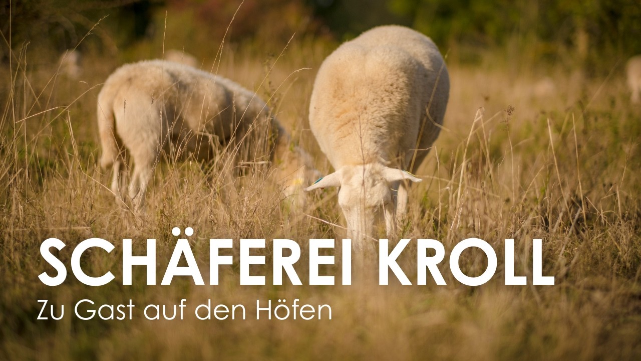 Schäferei Kroll - Öko-Modellregion Landkreis Goslar