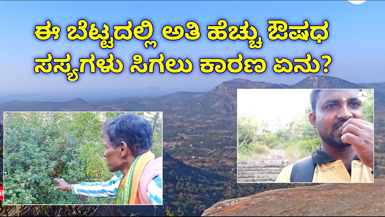 siddara betta tumkur Karnataka | ಈ ಬೆಟ್ಟದಲ್ಲಿ ಅತಿ ಹೆಚ್ಚು ಔಷಧ ಸಸ್ಯಗಳು ಸಿಗಲು ಕಾರಣ ಏನು? | Kannada vlogs