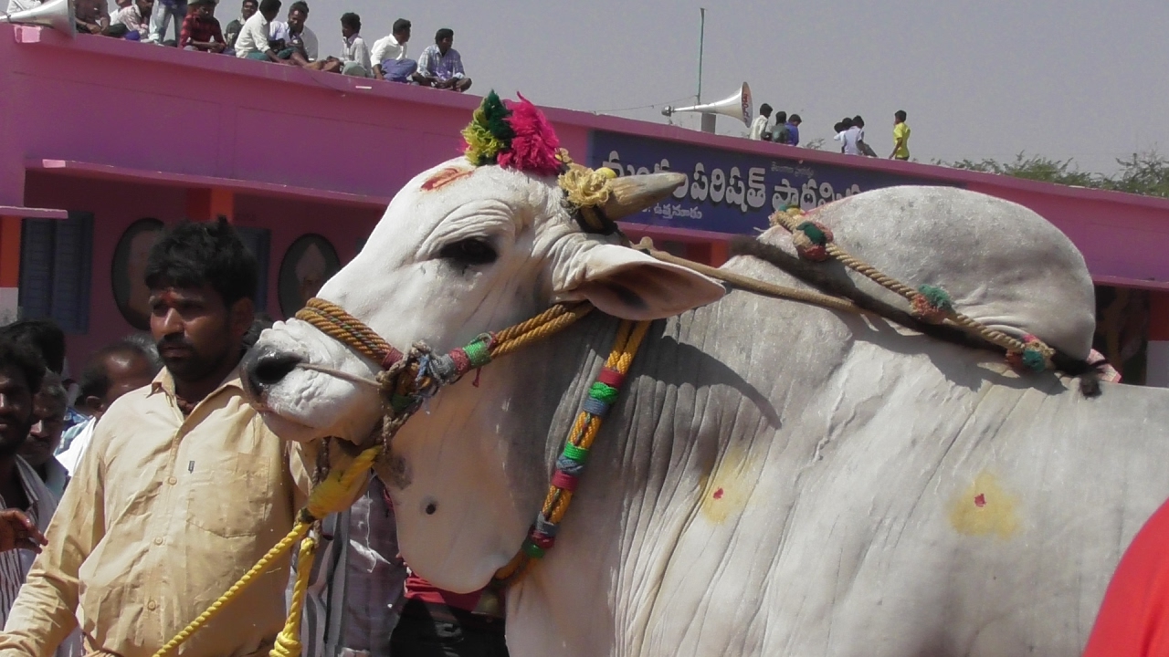 2017 Uttanoor, Gadwal District 