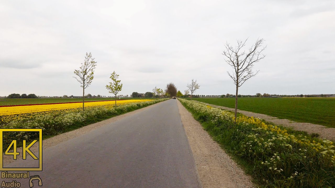 Biking one of the Oldest 'Droogmakerijen' (Lakes turned into dry land) in Holland. Binaural Sounds