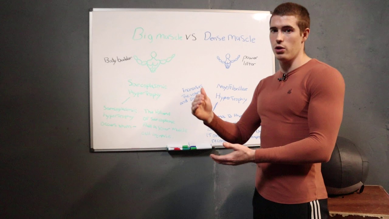 Big muscle Vs Dense muscle