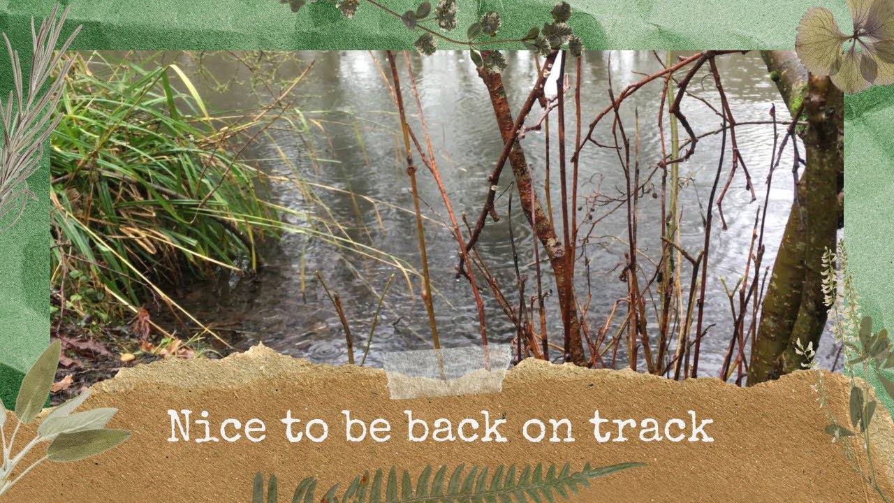🎣 Fishing the storm with no name and back on track with fish on the bank 