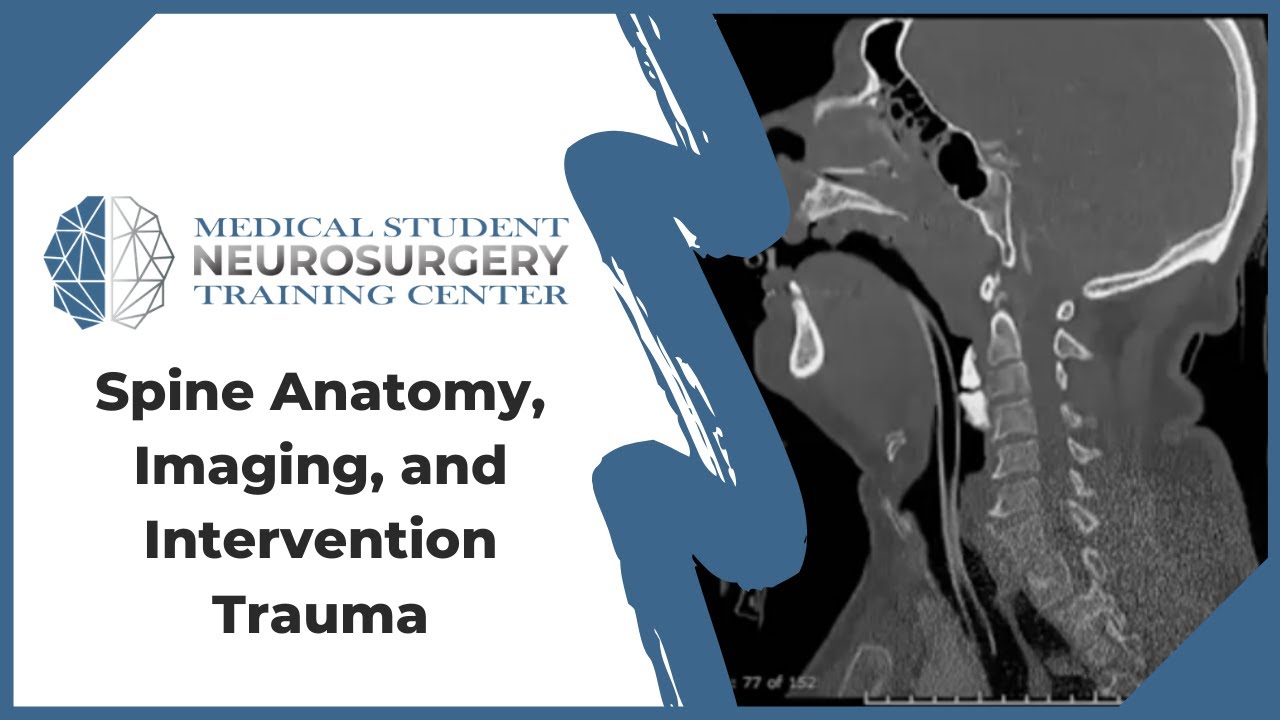 Spine Anatomy, Imaging, and Intervention Trauma