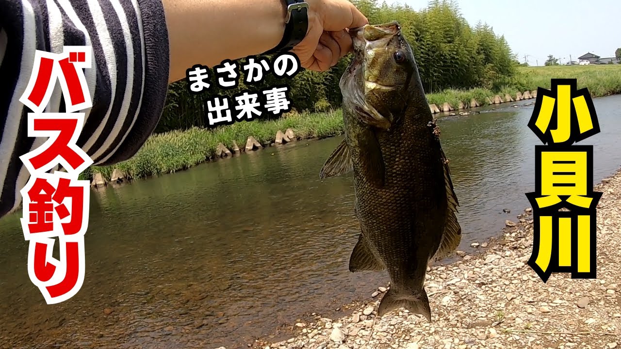 夏の小貝川でバス釣り！