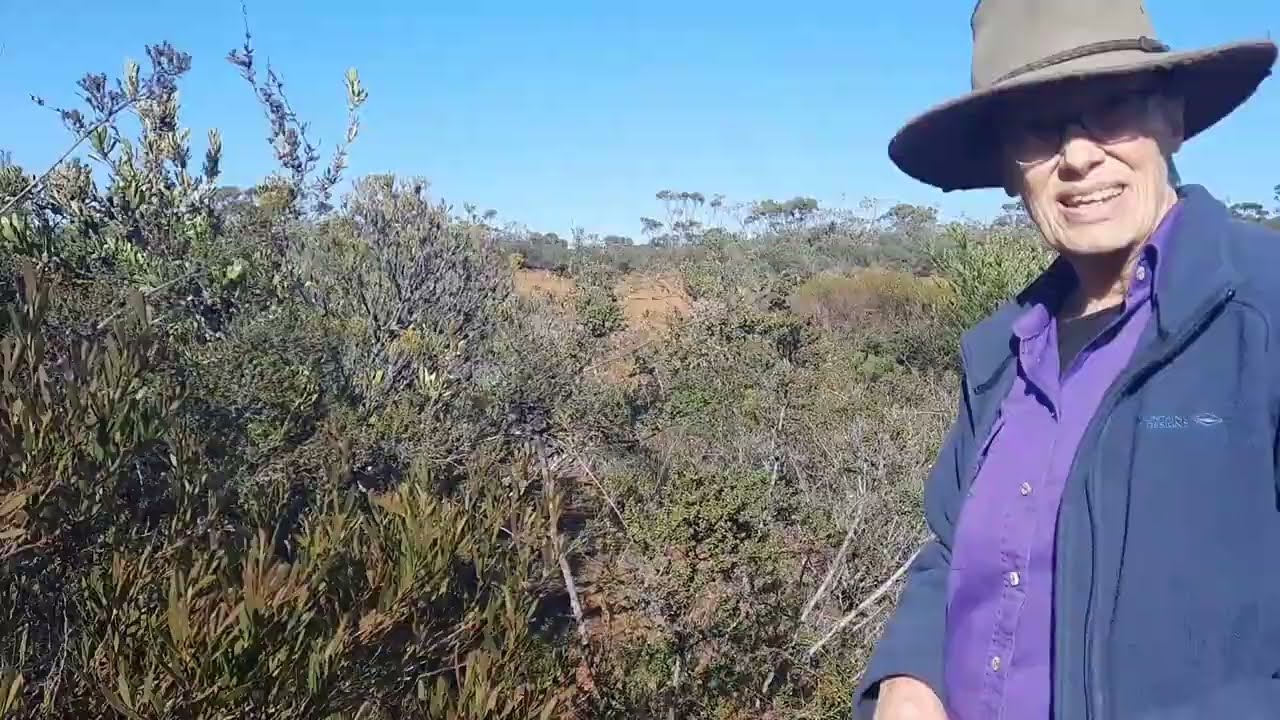 The Treasures of and Threats to the Ravensthorpe Range