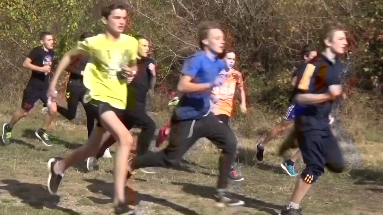 cross 2016-2017