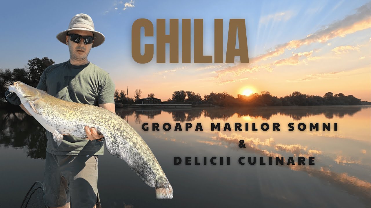 6 ZILE PE CHILIA - groapa marilor somni & delicii culinare    @BlueKokilia