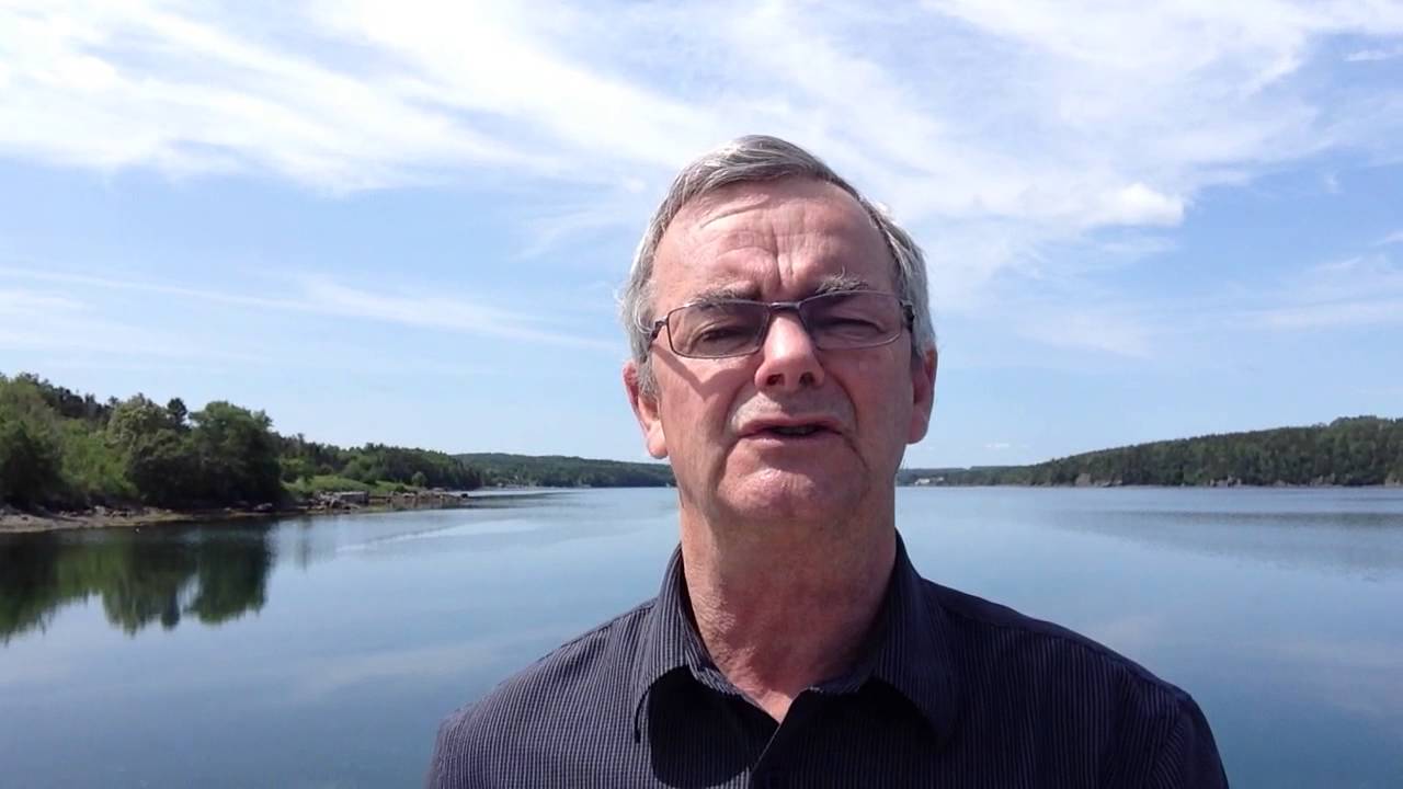 Can't See the Forest for the Trees