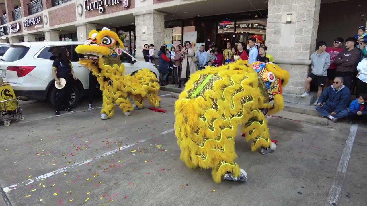Lion Dance Finale Scroll Drop  - Lee's Golden Dragon Tasty Point Grand Opening 2023 - Houston, TX