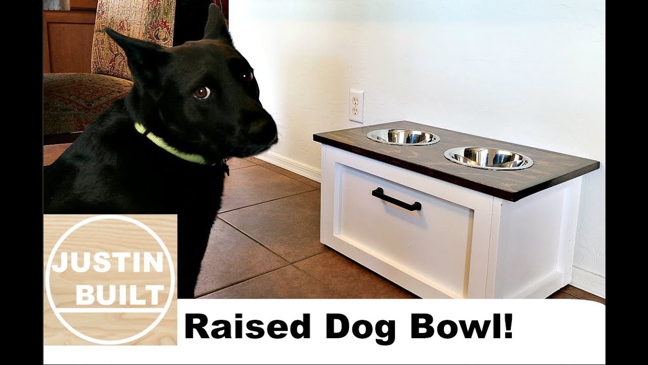 DIY Raised Dog Bowl with Storage!!