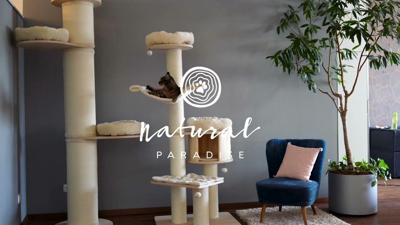 Natural Paradise : accessoires pour chat