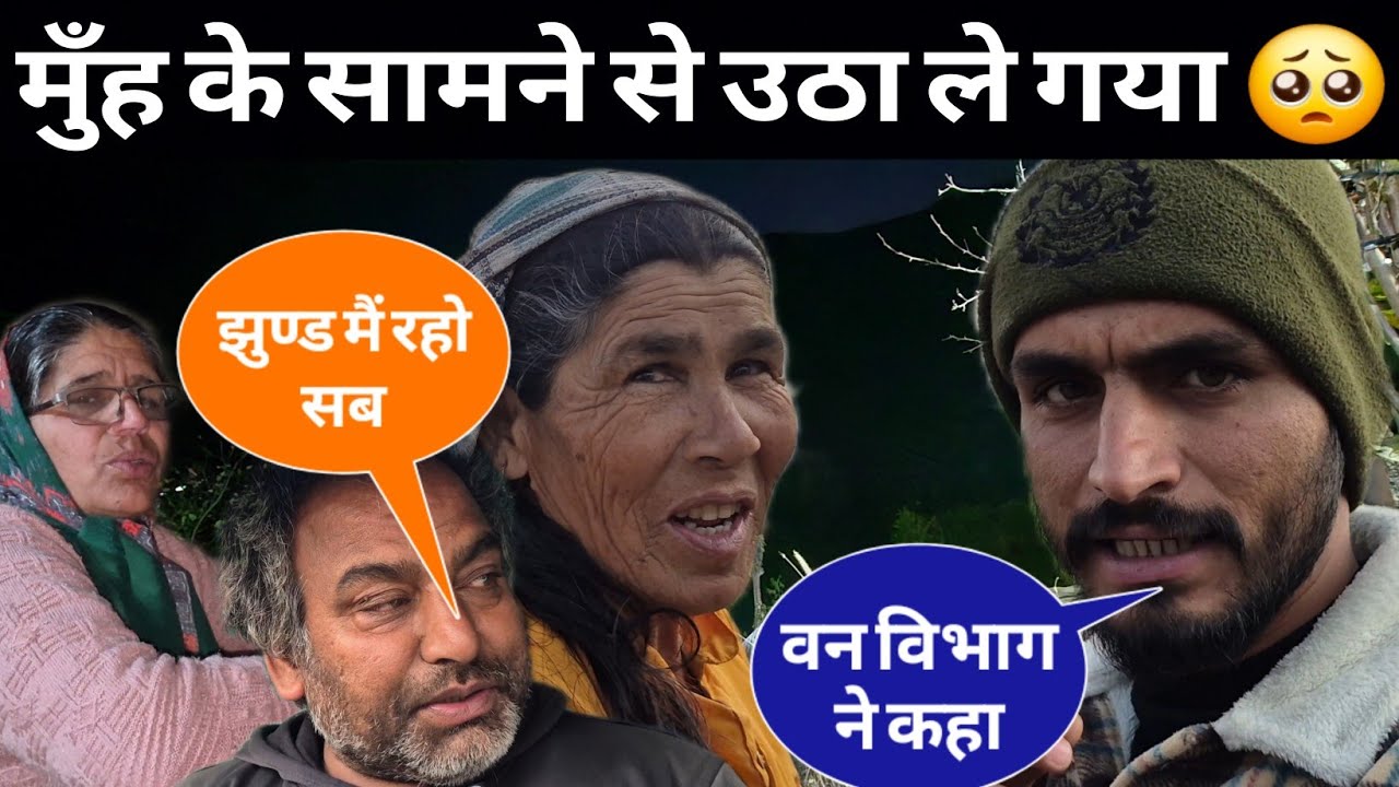 भोंटी को मुँह के सामने से उठा ले गया तेंदुआ 🥺 झुंड मैं रहना पड़ेगा 😥@sunildhyani07 