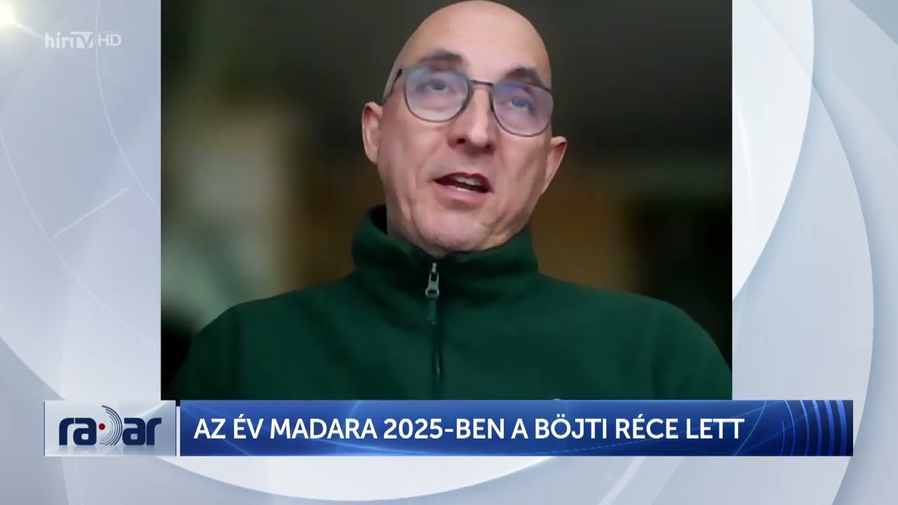 Radar - Az év madara 2025-ben a böjti réce lett - HÍR TV