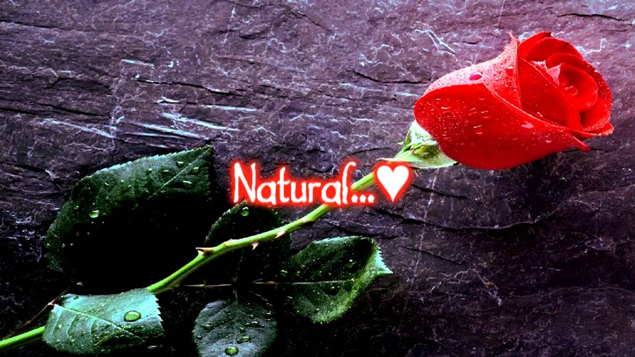 Natural - Noel Schajris