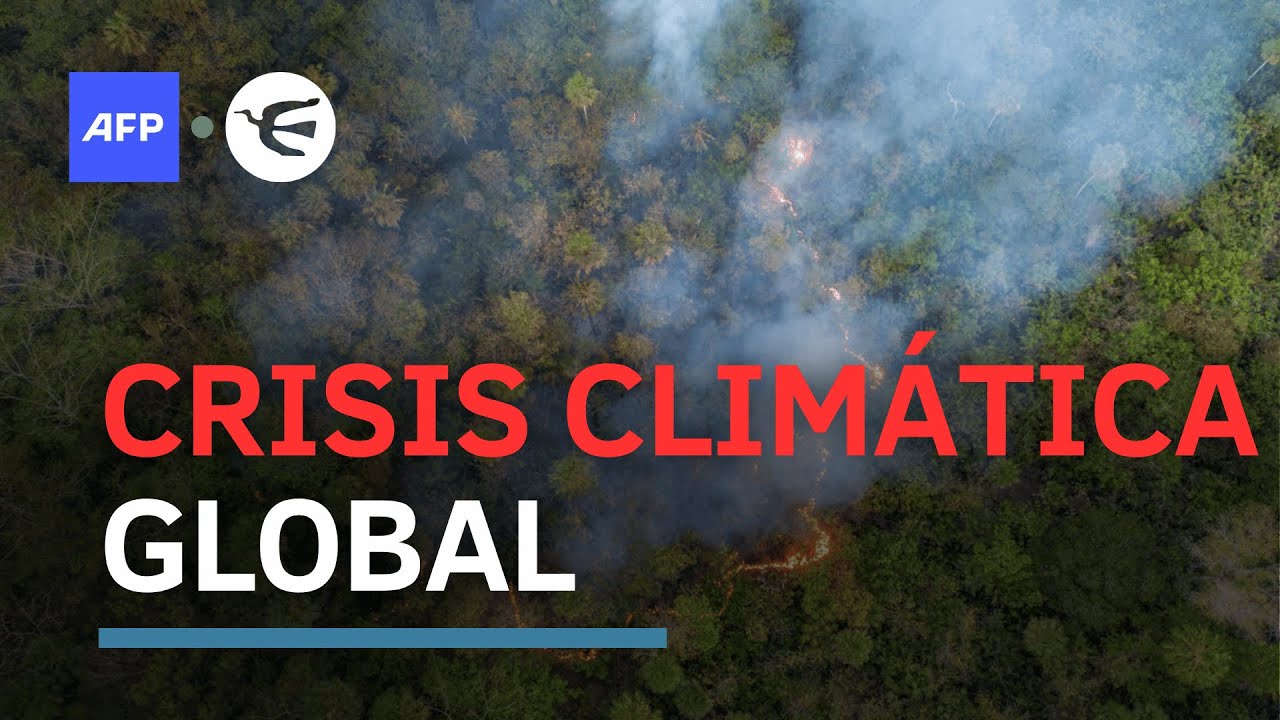 Crisis climática: la ONU proyecta un salto térmico histórico entre 2025 y 2029