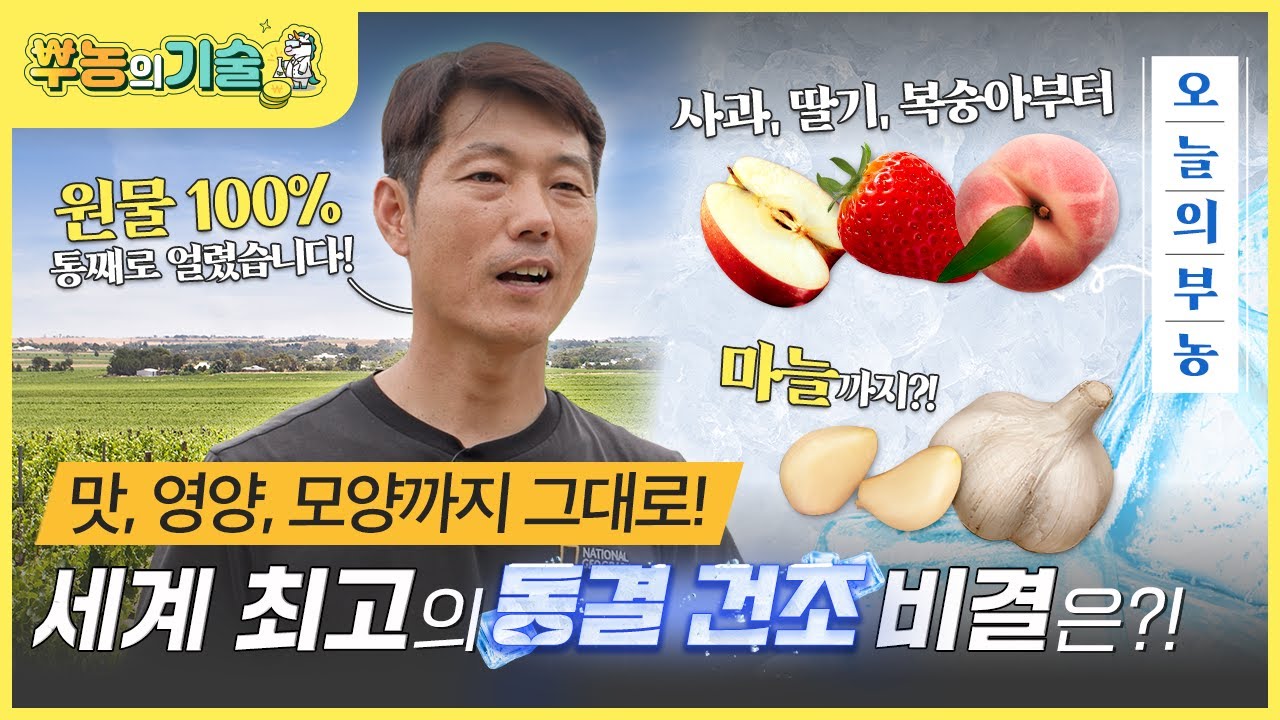 [뿌농의 기술] 과일의 맛과 영양을 더 오래! 원물 100% ‘동결건조 과일’ 집중탐구👀