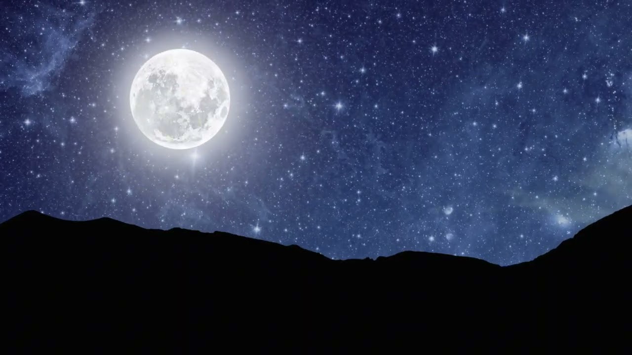 Exploring Genesis: the Beginning of the Bible 