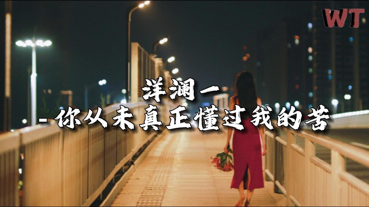 洋澜一 - 你从未真正懂过我的苦『你从未真真正正懂过我的苦，就像你不懂我的挣扎和认输。』【动态歌词MV】