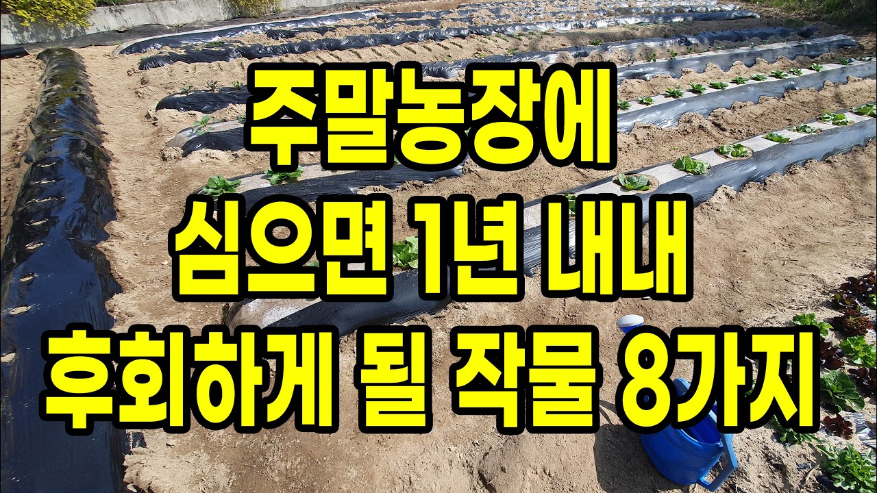 주말농장에 심으면 큰일나는 작물 8가지 이렇게 심을 수 있어요