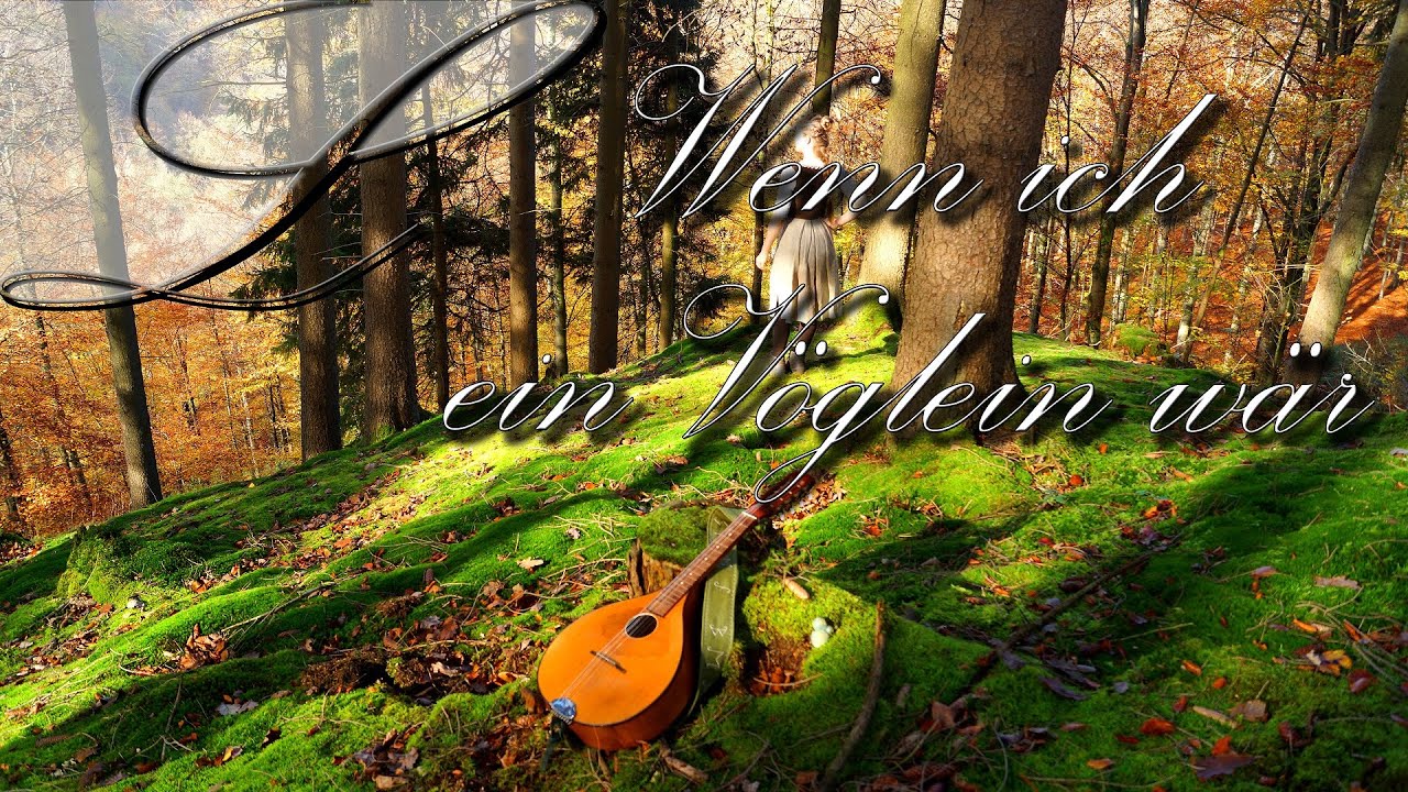 Wenn ich ein Vöglein wär | Lorelina | Waldzither | Volkslied (+ english translation)