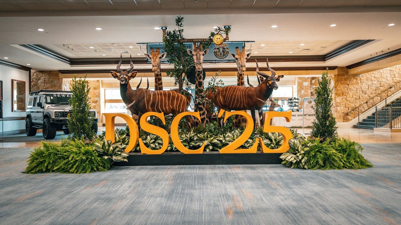 Relive the Magic: DSC Summer Expo Recap
