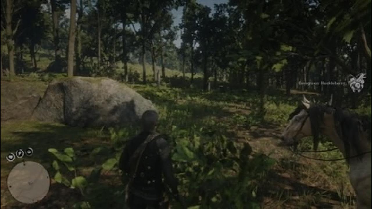 Red Dead Redemption 2_20260208121040