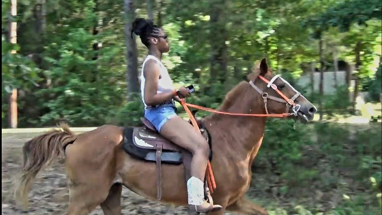 2025 Jefferson Texas Trail Ride of the Lodi Regulators Trail Riders