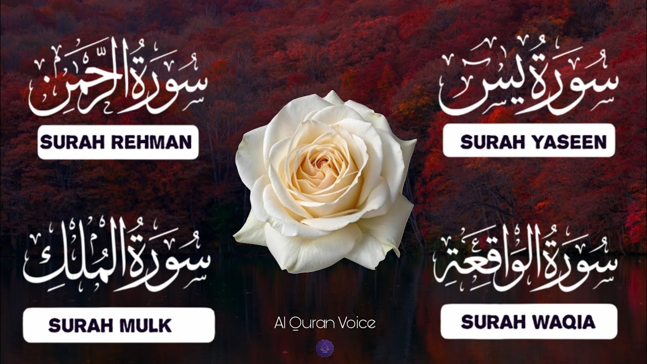 Surah Yaseen (Yasin) | Surah Rahman | Surah Waqiah | Surah Mulk | Best Recitation