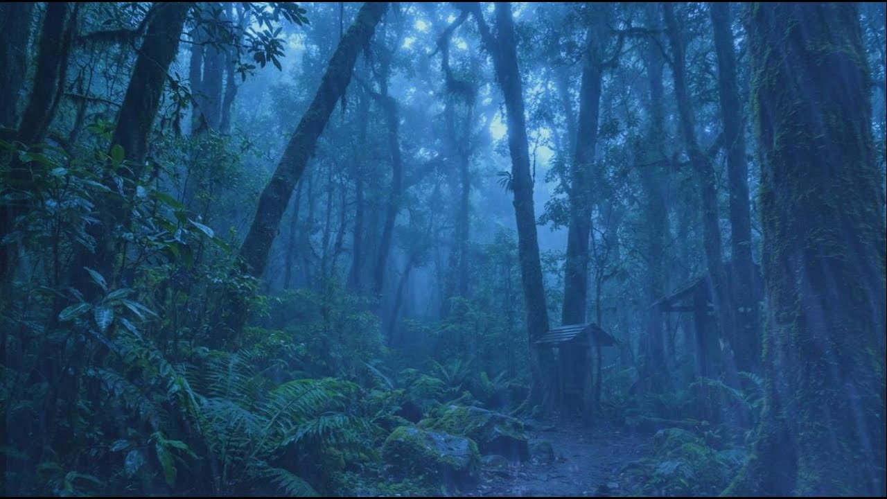 ⛈️ Calming Heavy Rain & Thunder on a Peaceful Cozy Night for Fast Deep Sleep & Total Relaxation 😴
