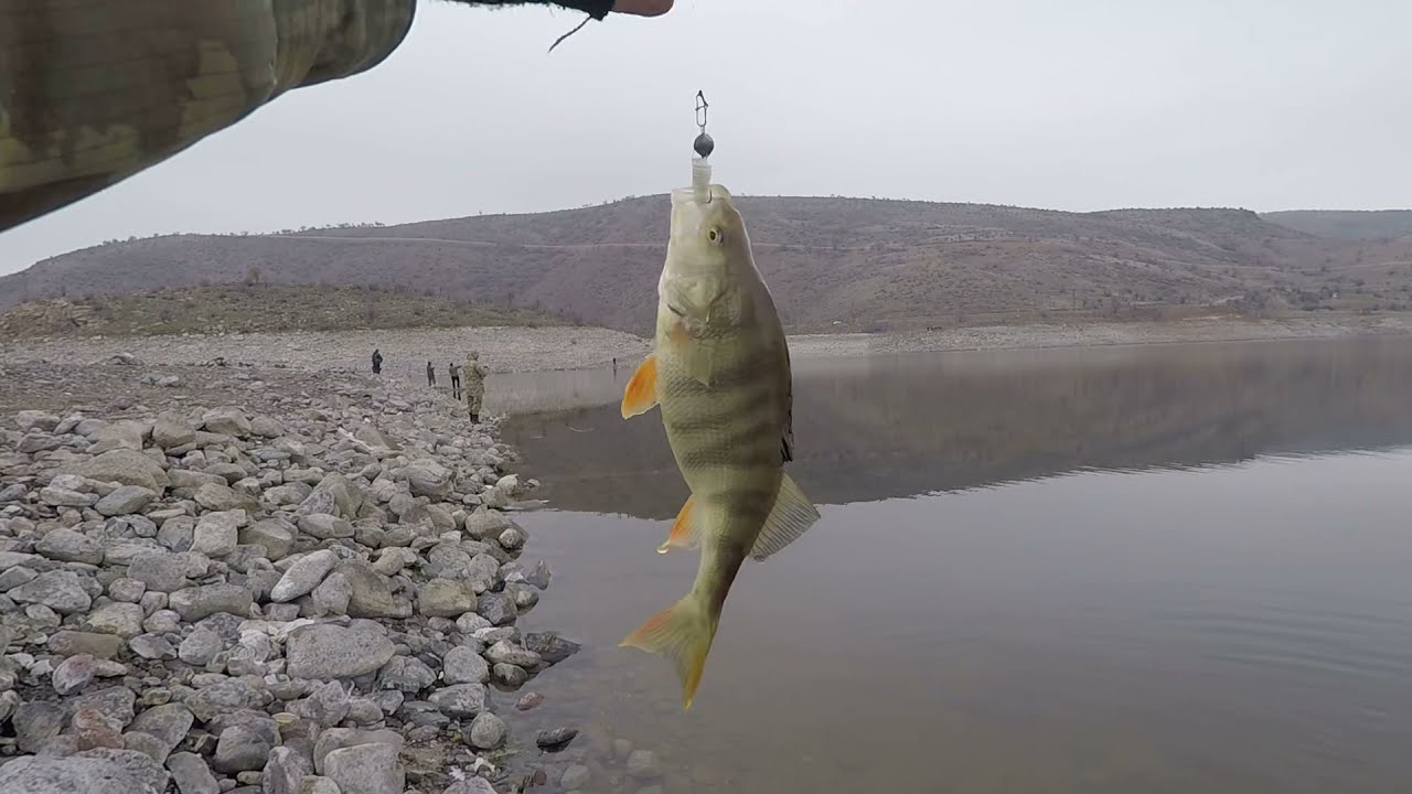 - 4 derecede balık yakalanırmı? Ankara Perch avı