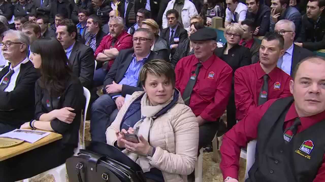 Boucherie Bayle   Un dimanche en France   Salon de l'agriculture   France 3   ventes aux enchères