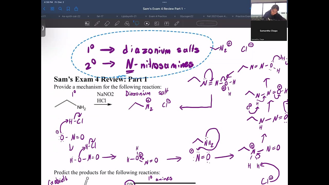 Organic Chemistry II: Exam 4 Review (Part 1)