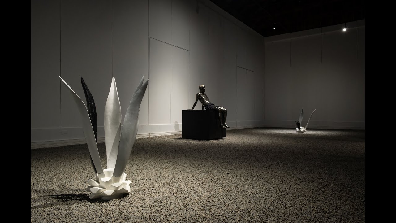 Coreografias minerales de Alejandra Prieto