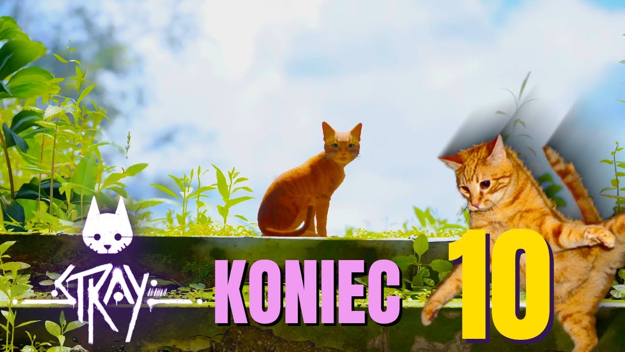 Stray (100%) #10 - Areszt - Pomieszczenie Kontrolne | PS5 60FPS 4K HDR