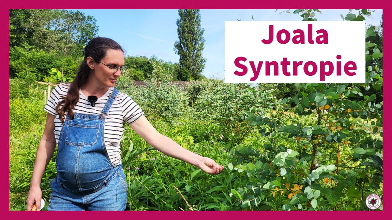 Bienvenue en Syntropie ! Un jardin d'abondance, des principes au terrain | Anaëlle Théry - Joala