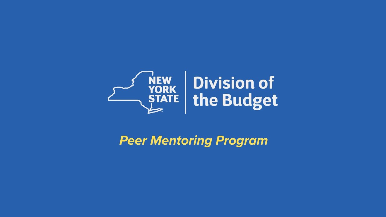 Peer Mentoring Program at DOB
