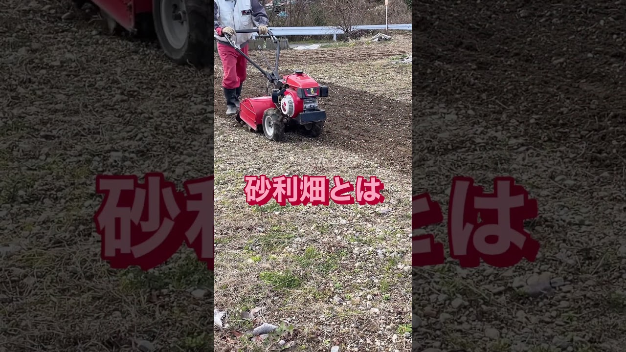 砂利畑の耕運はかなり困難！想定外の仕事をしてくれる管理機 #shorts