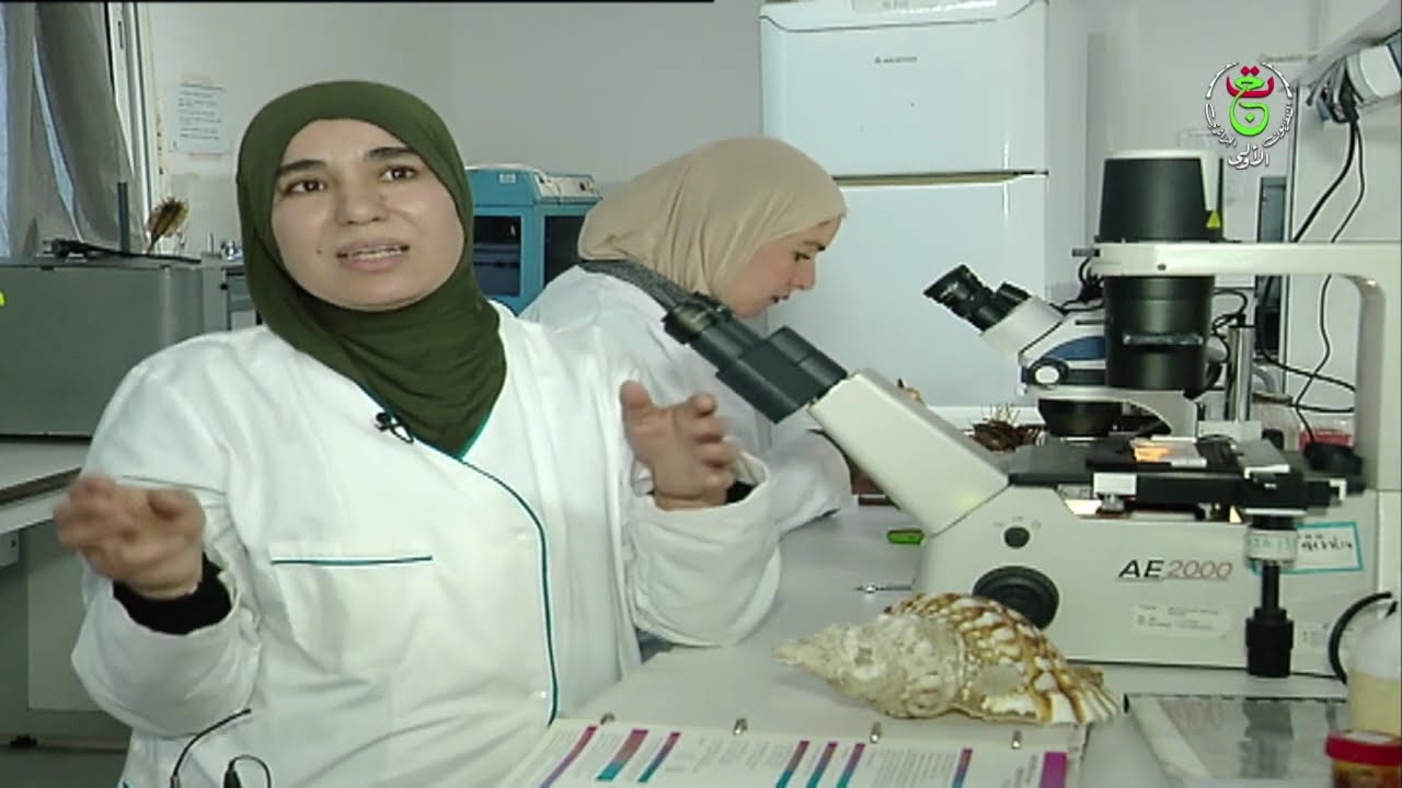 إبحــار - 2026/02/12
