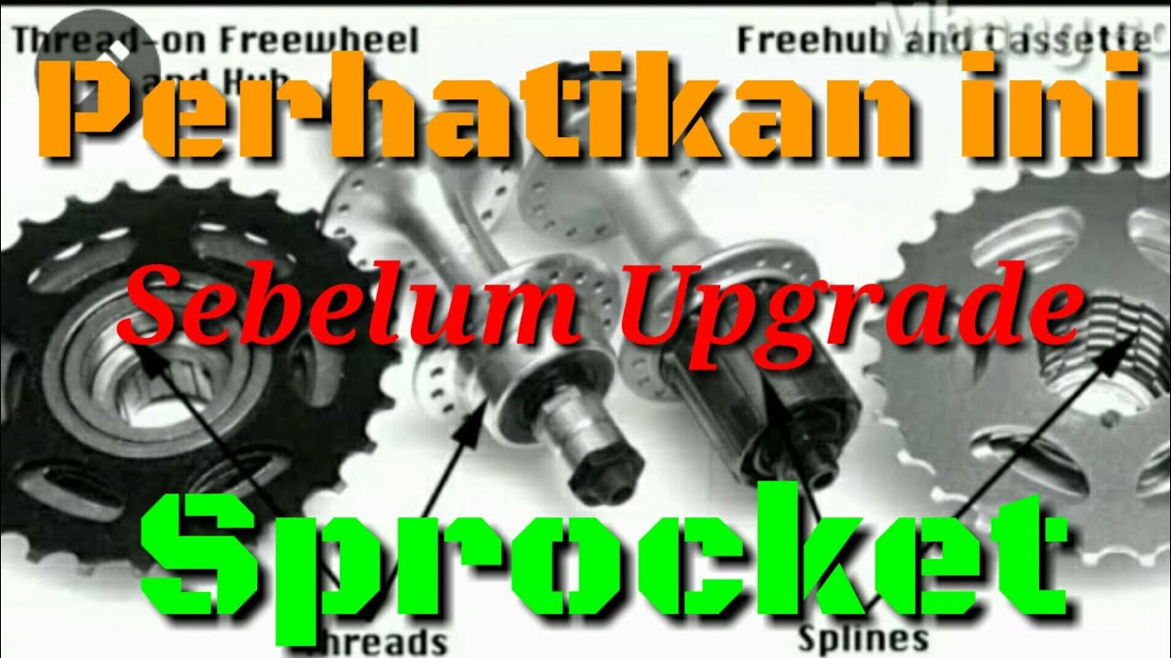 Upgrade Hub Free Hub || Sprocket MTB