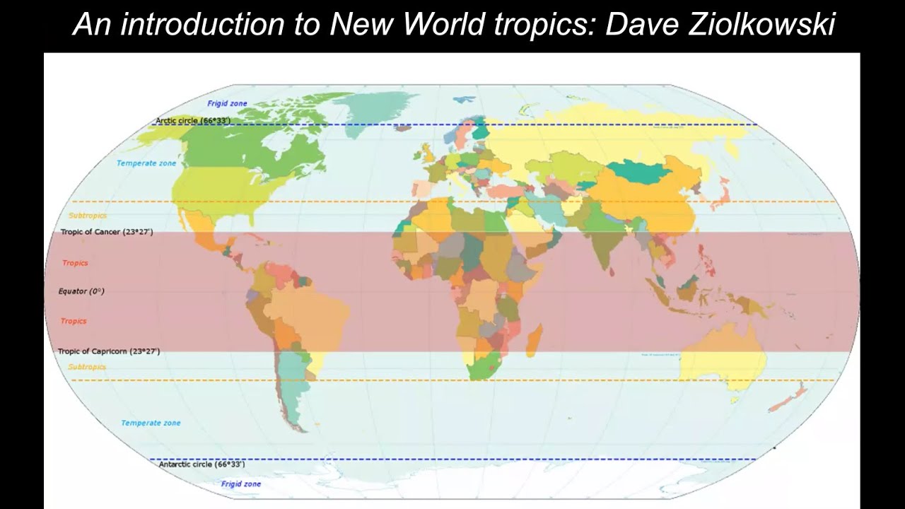 An introduction to birding in the New World tropics: Dave Ziolkowski