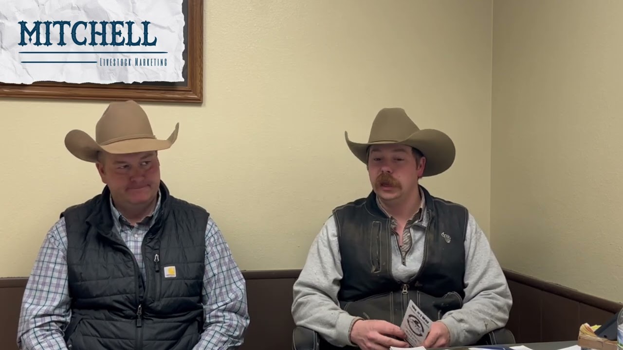 This week at Mitchell Livestock | February 11th-12th