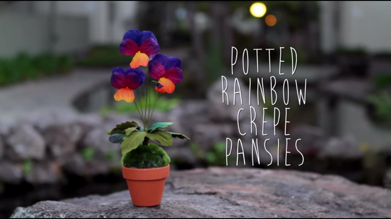 Crepe Paper Pansy Tutorial