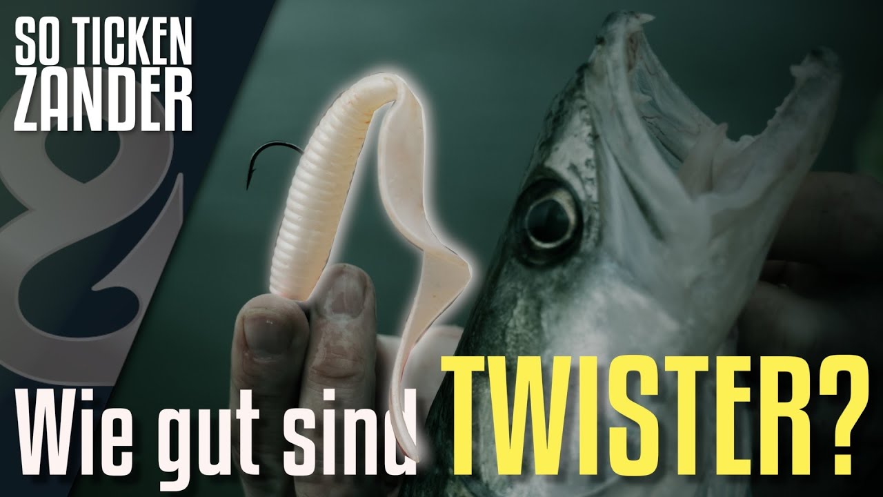 Fangen Twister noch wie früher? So ticken Zander!