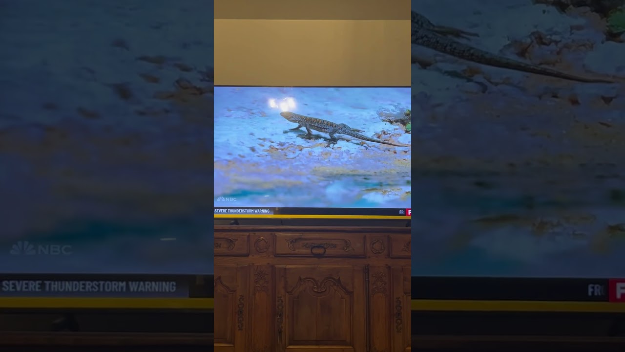 Severe thunderstorm warning on YouTube tv