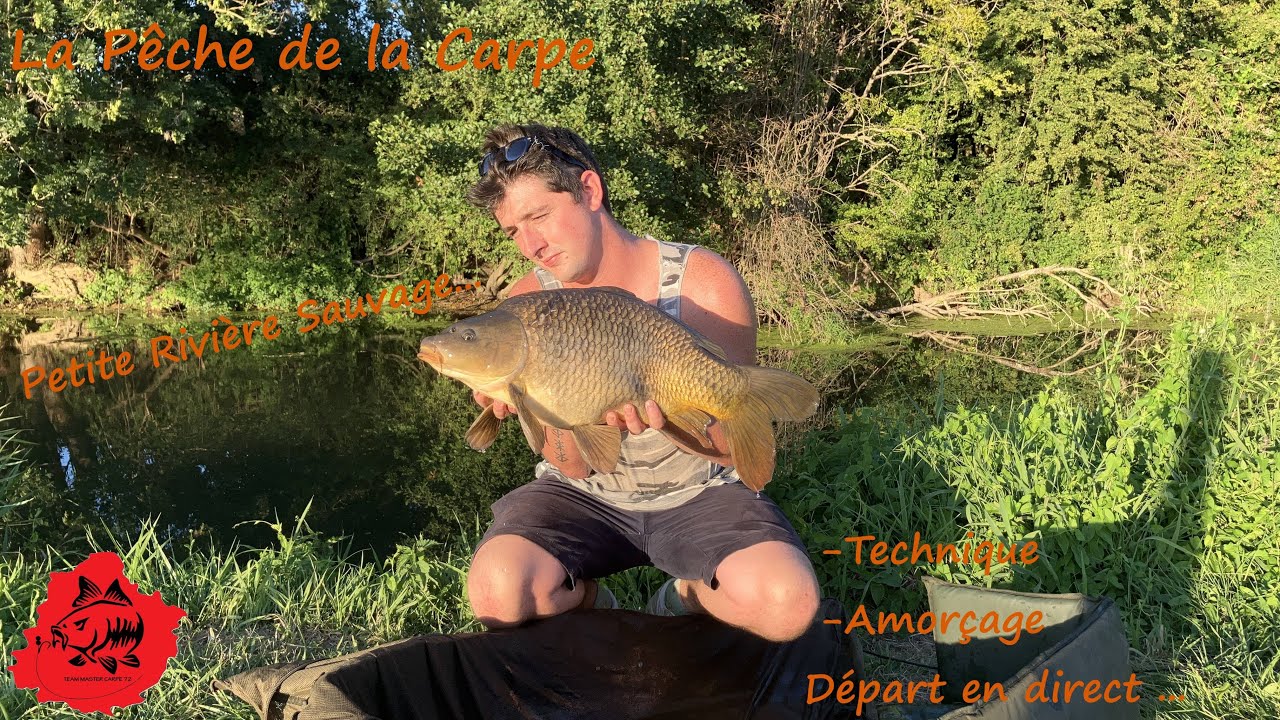 La Pêche de la Carpe,  La Pêche en Petite Rivière Sauvage ...